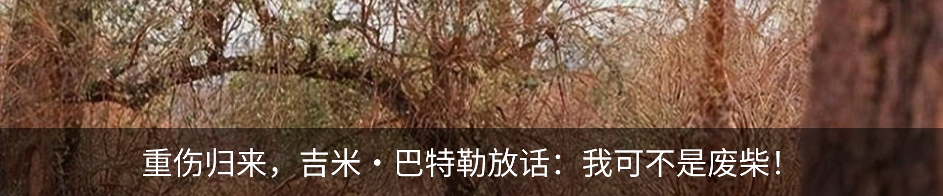 内页banner
